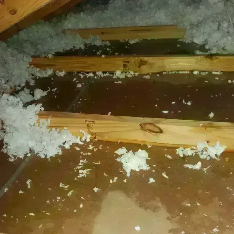 Attic Water Damage in Lavon, TX