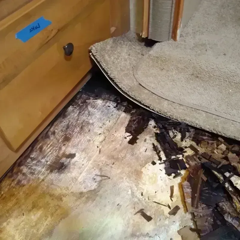 Best Wood Floor Water Damage Service in Lavon, TX